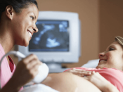 pregnancy check