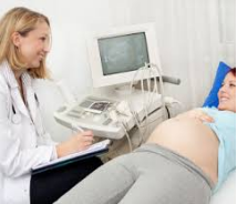 doctor and pregnant woman