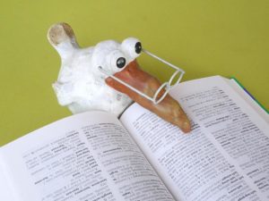 language study